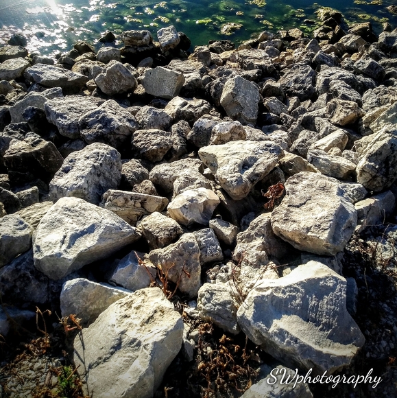 Wall Decor - Picture 11 of 16